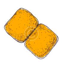 Two bread slices